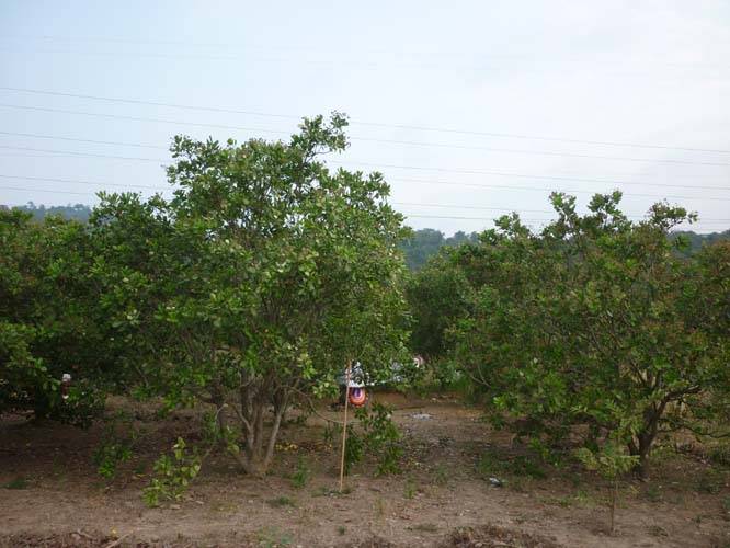 P1090711.jpg