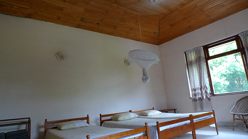 4187201281_2ae3b35d14.jpg