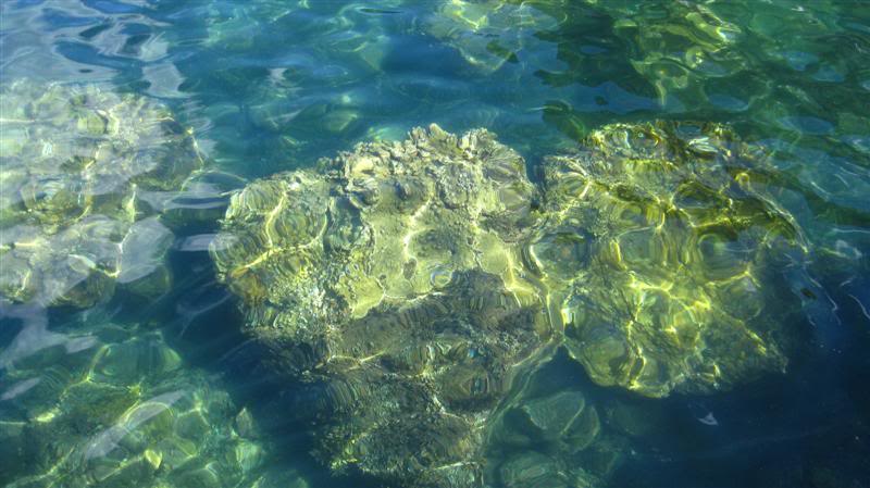 IMG_8237Medium.jpg