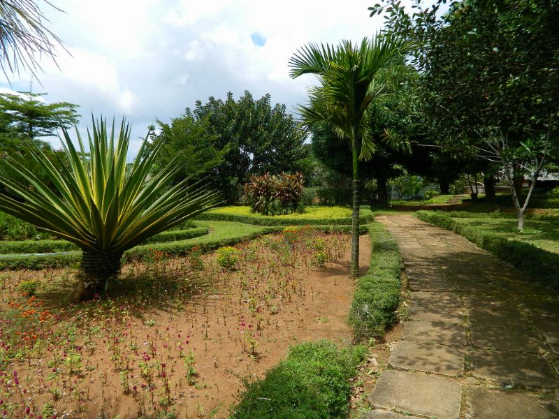 DSCN1906.jpg