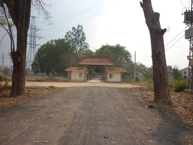 P1060390.jpg
