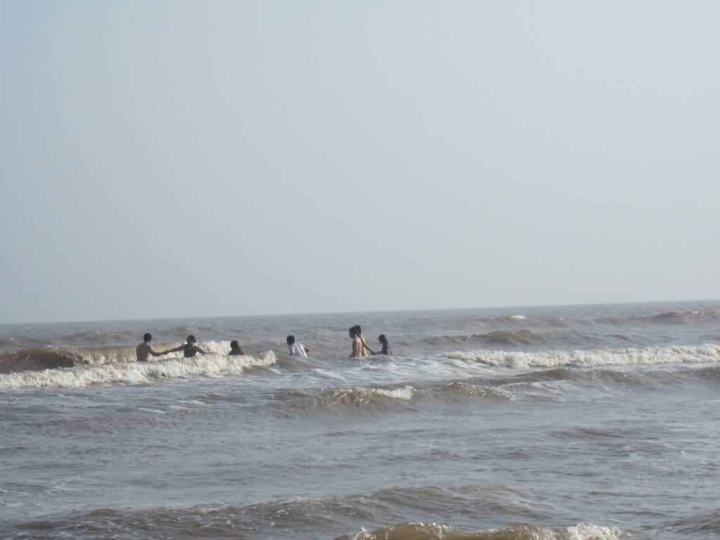 IMG_3786.jpg