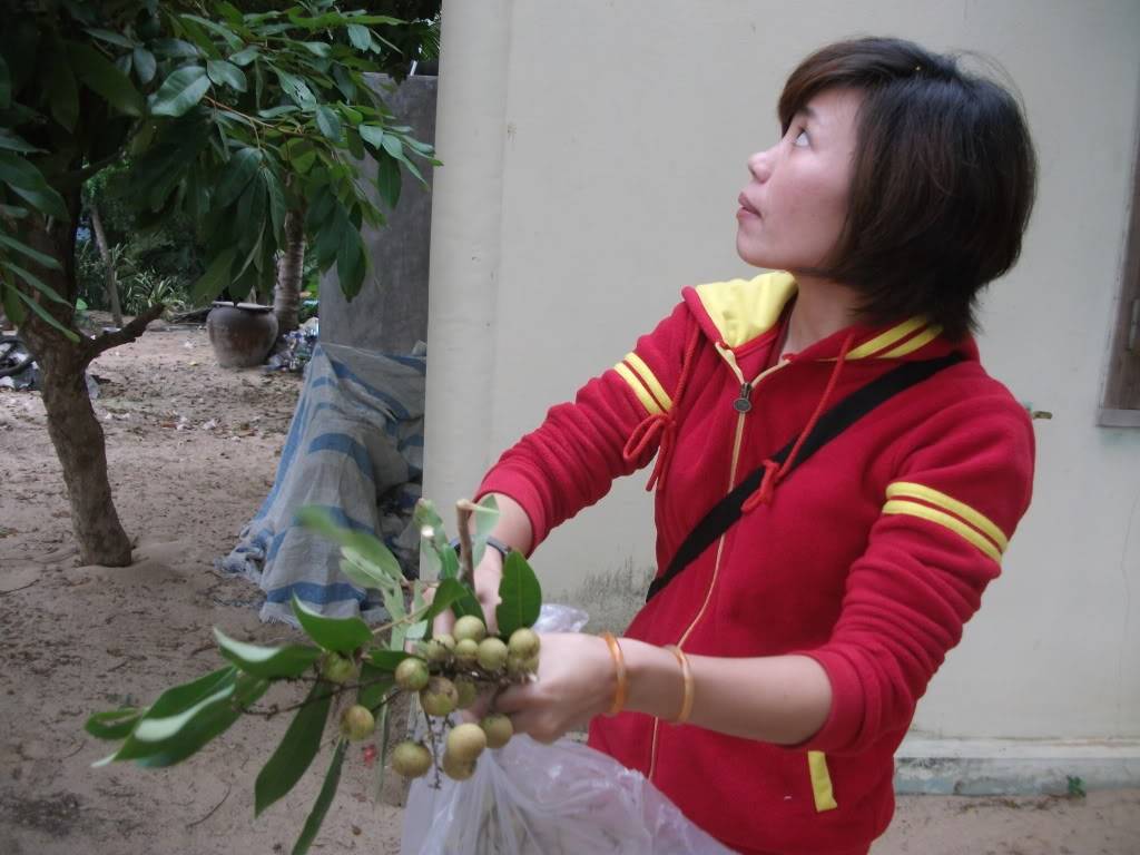 DSCF3856.jpg