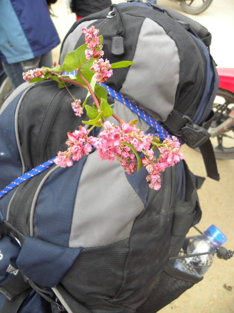 DSCN9664.jpg