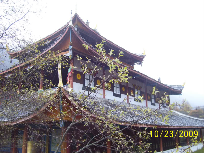 hoanglong113.jpg