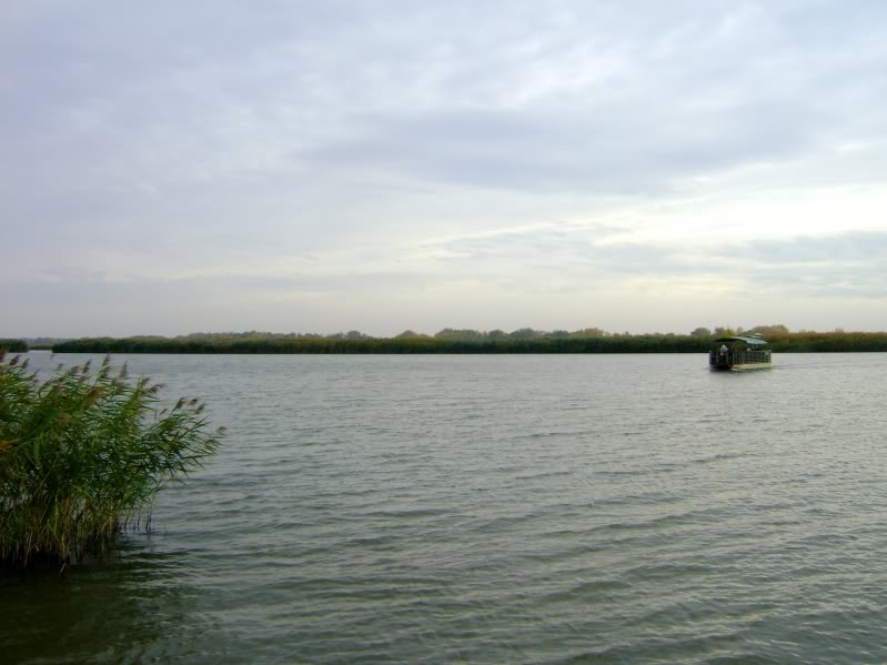 DSC06533.jpg