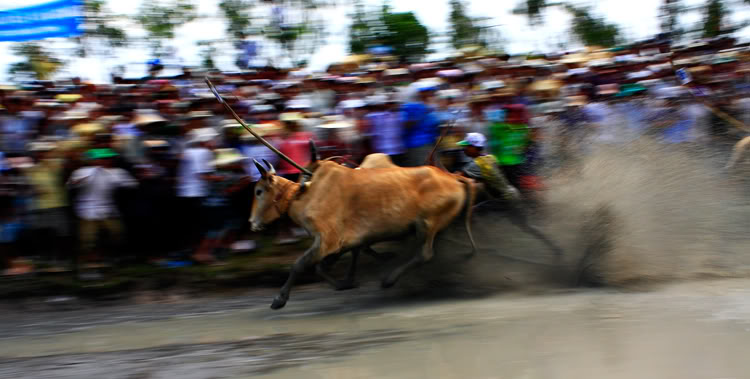 _MG_1334.jpg