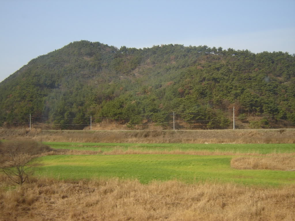 DSC09054.jpg