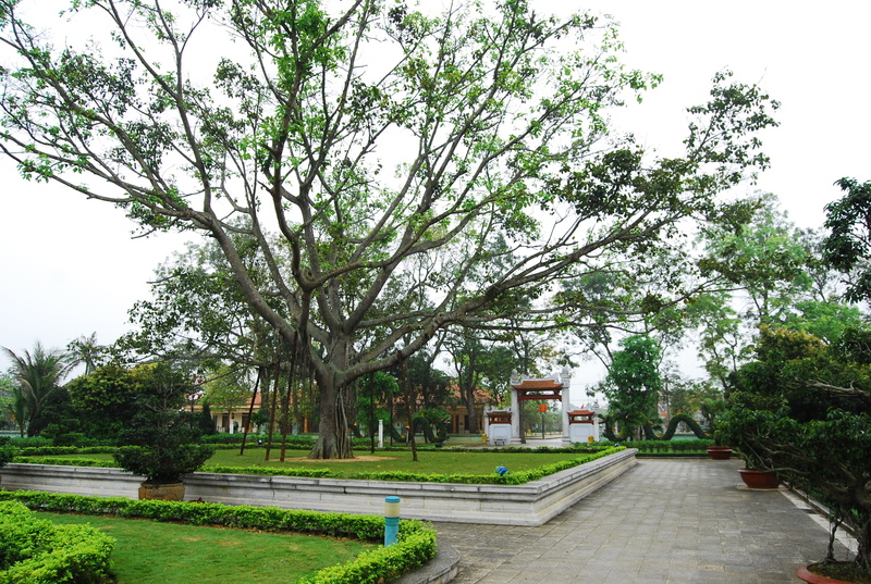 dsc7175m.jpg