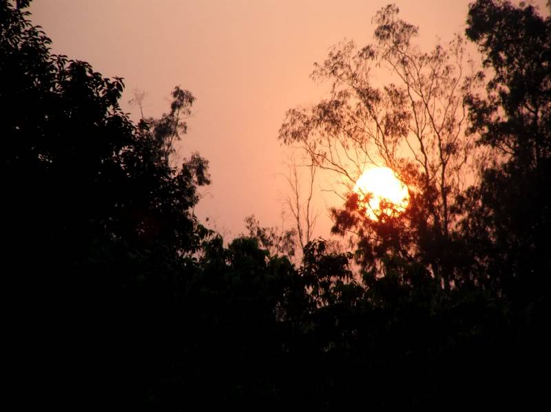 PB170813.jpg
