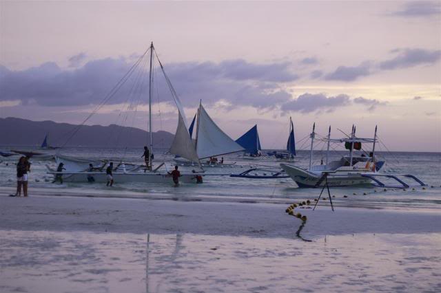 _MG_1513Large.jpg