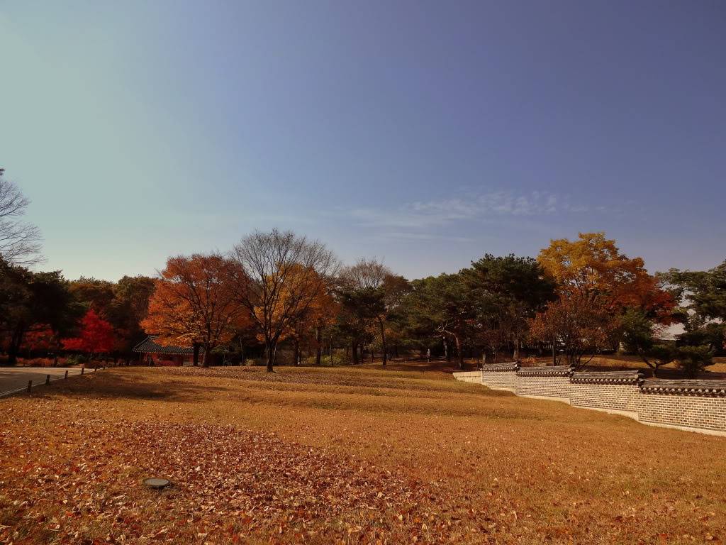 DSC00284.jpg