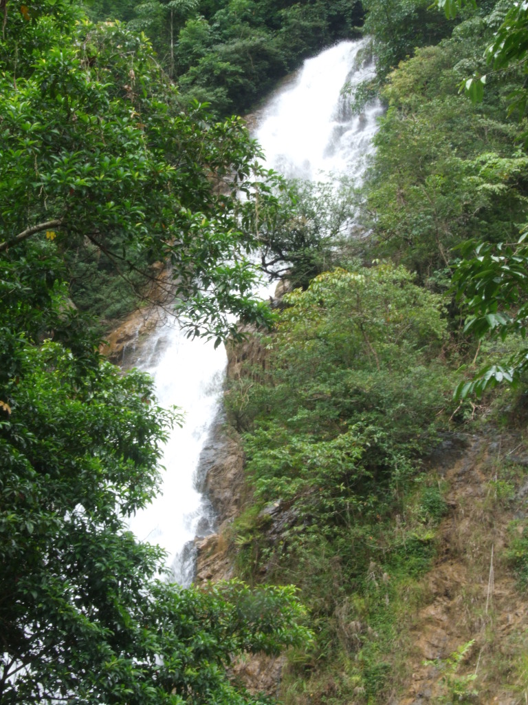DSCF1587.jpg
