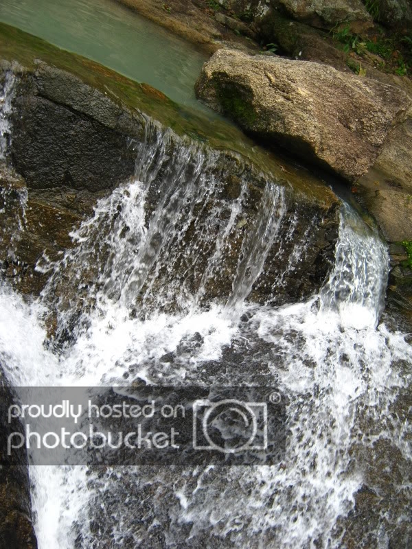IMG_7163.jpg