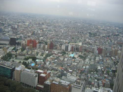 IMG_1498_resize.jpg