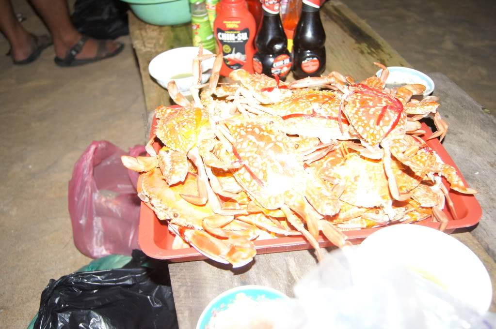 DSC00183.jpg
