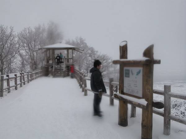 IMG_3326_resize.jpg