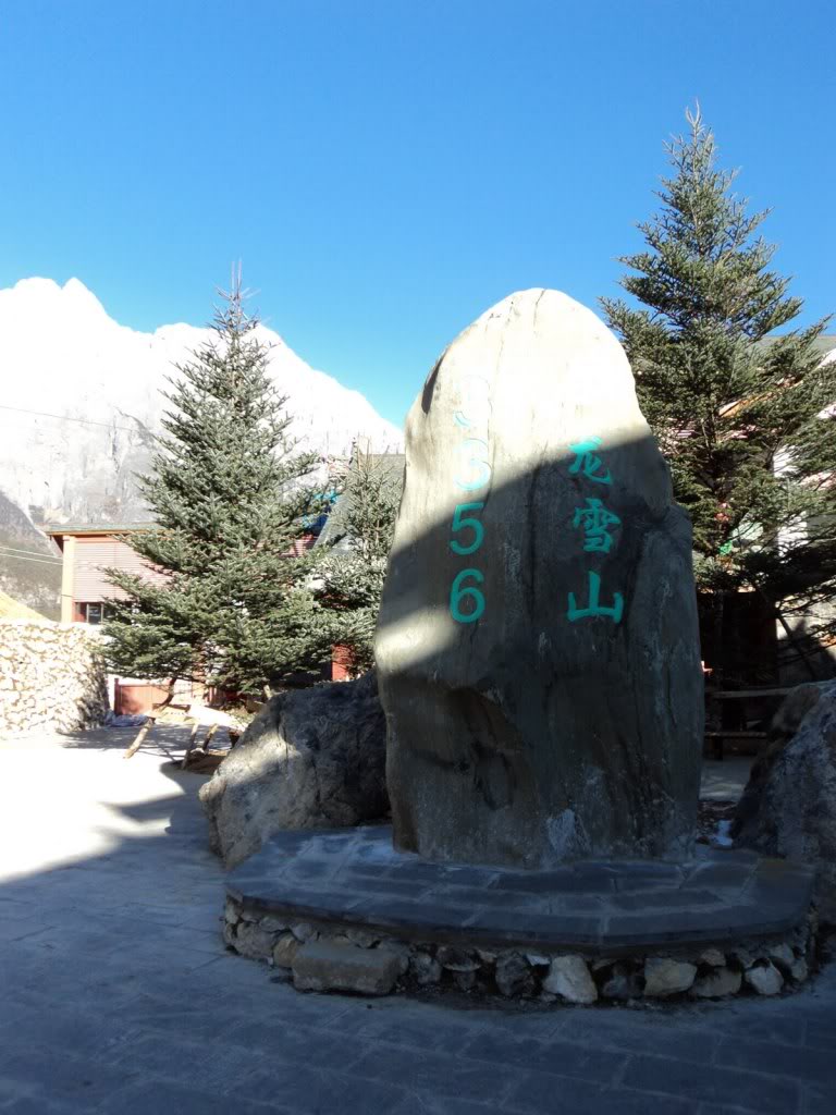 DSC01848.jpg