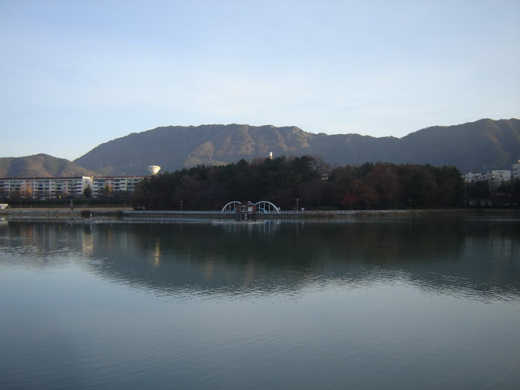 DSC08608.jpg