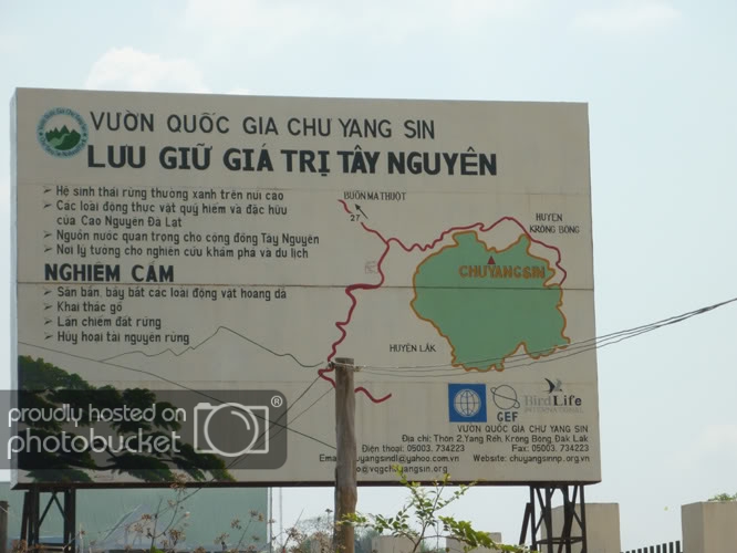 P1070199.jpg