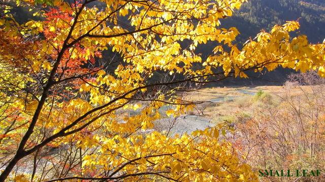 IMG_1928.jpg