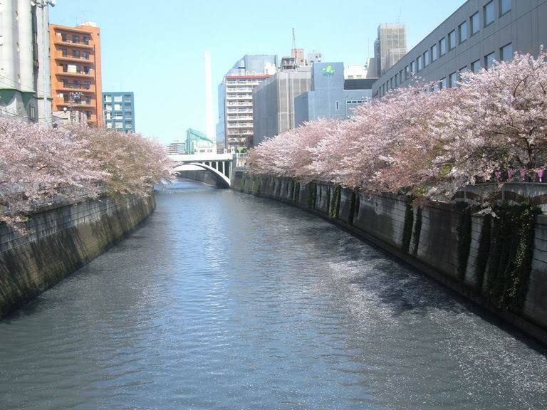 meguro-shinbashi2.jpg