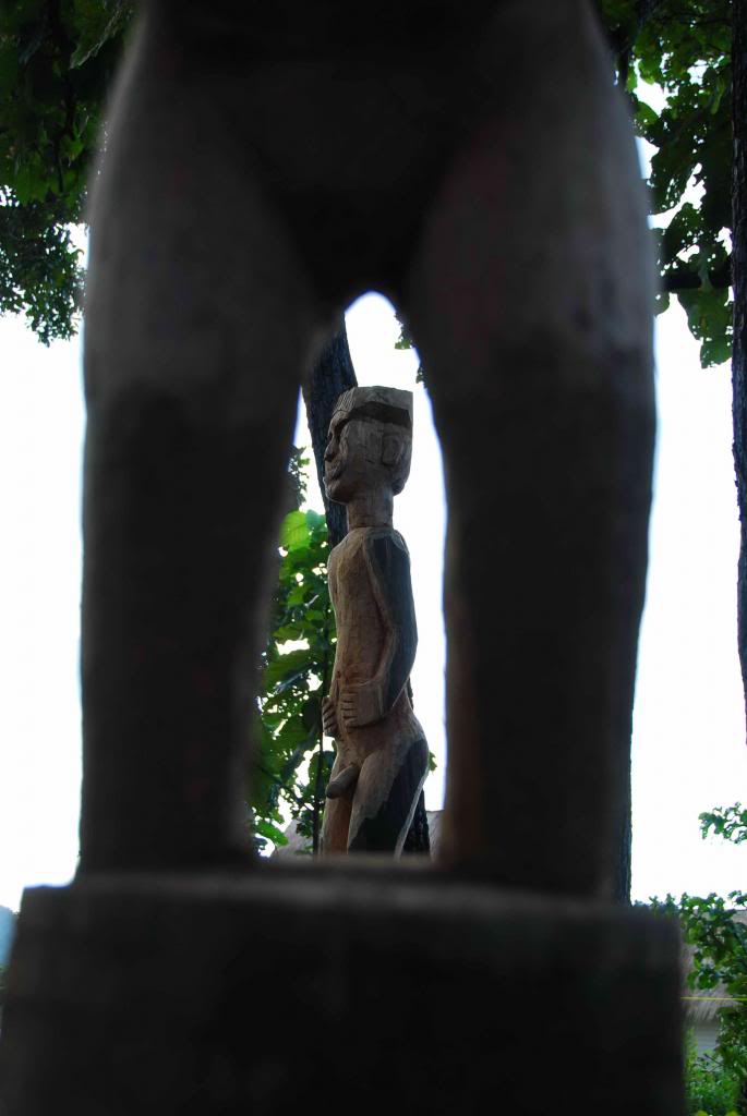 DSC_1141_zps146654ea.jpg