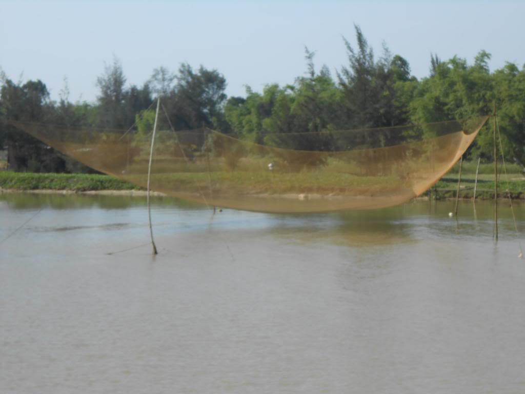 DSCN3643.jpg