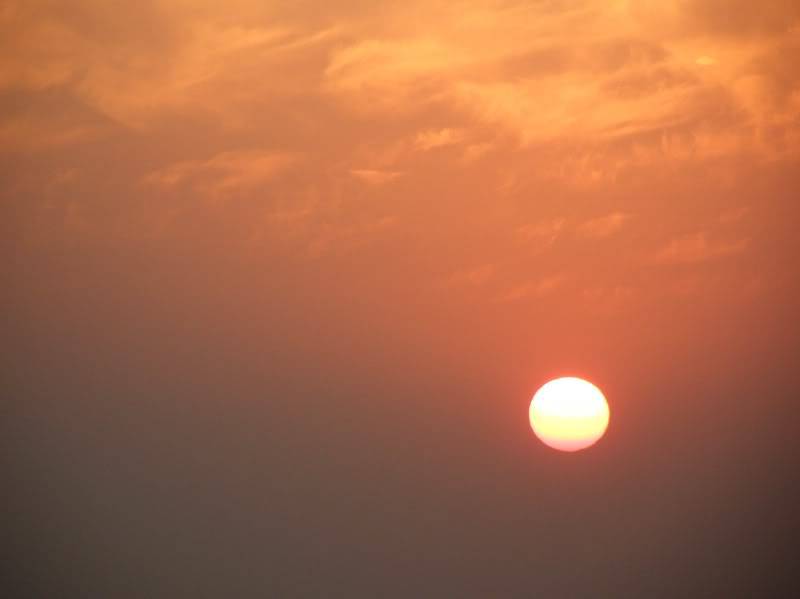 PB280709.jpg