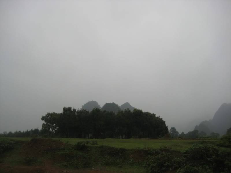 IMG_2783.jpg
