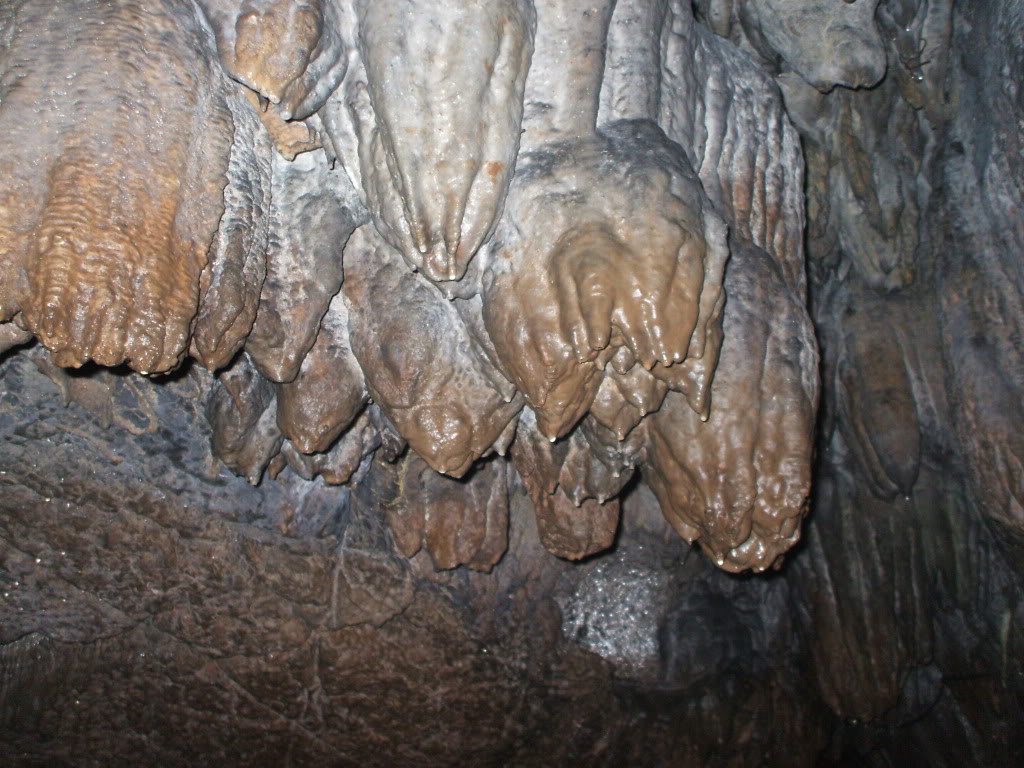 DSCF5522.jpg