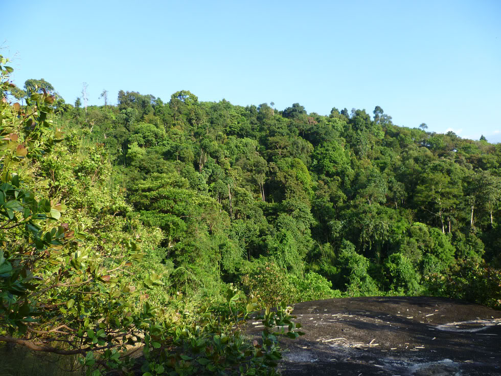 P1050845.jpg