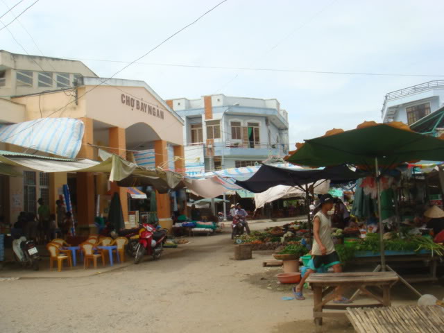 315.jpg