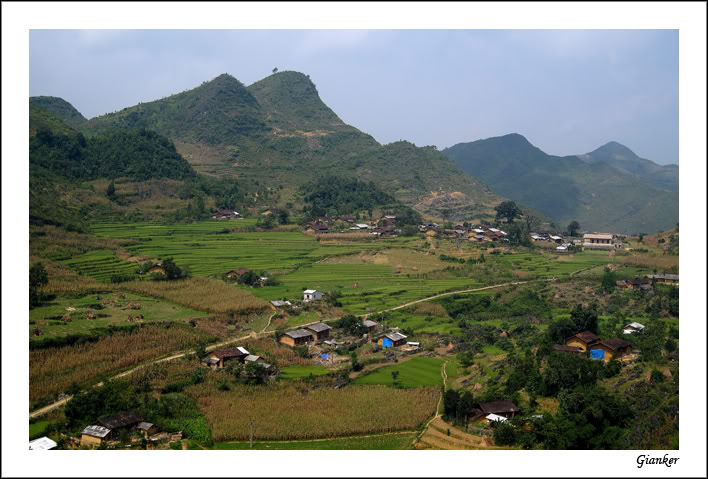 ra80.jpg
