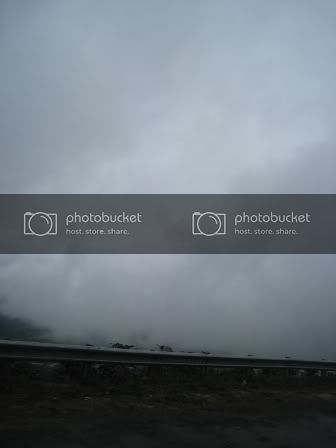 IMG_0154.jpg