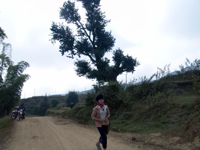 DSC00188.jpg