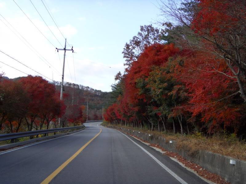 SDC10053.jpg