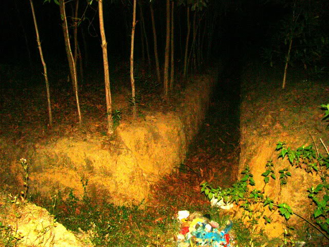 DSC03350.jpg