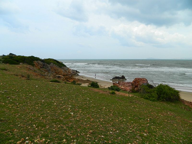 DSCN2208.jpg