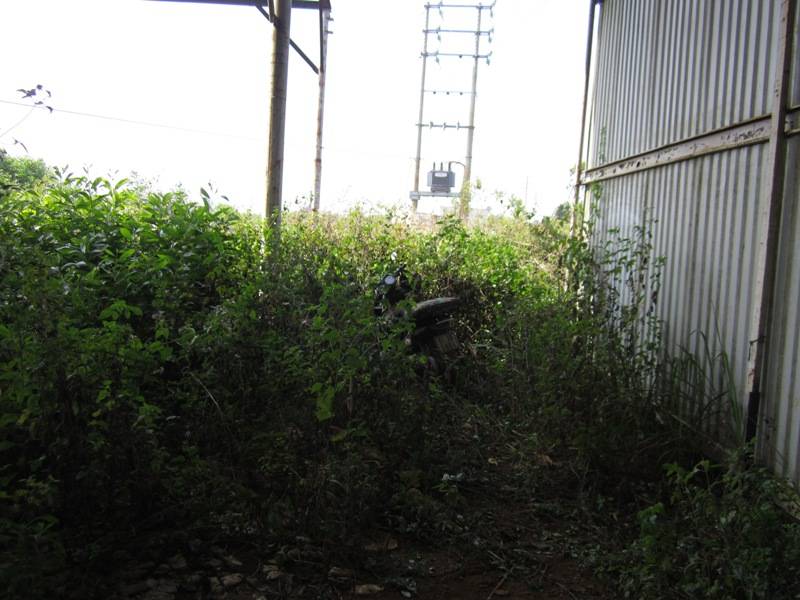 IMG_1676_zps364c18c2.jpg