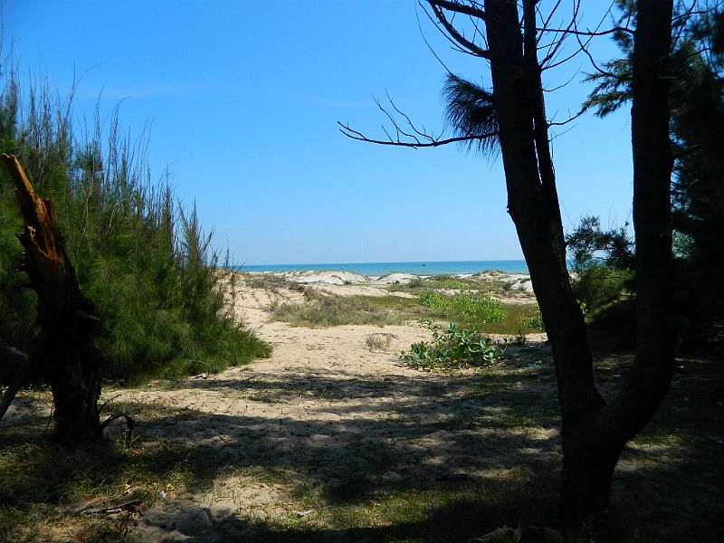 DSCN4570_398.jpg