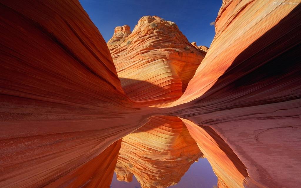 6871933-arizona-wallpaper.jpg