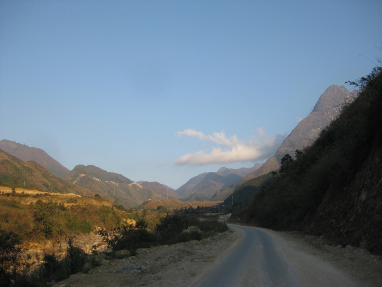 IMG_0228.jpg