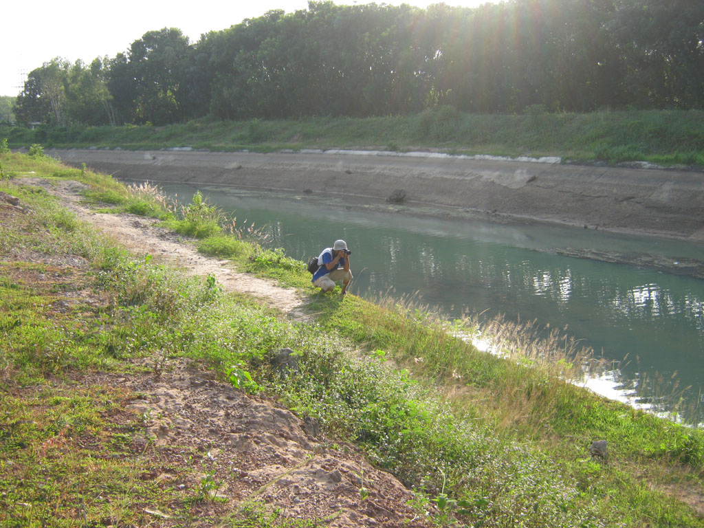 IMG_8764.jpg