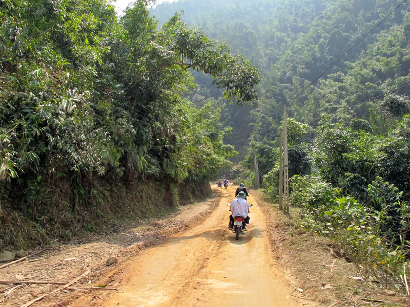 HongNgai2011204.jpg