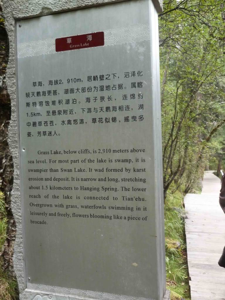 L1040620.jpg