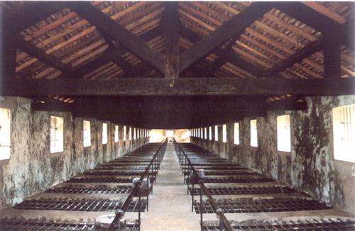 condao-trai-giam-chuong-cop(1).jpg