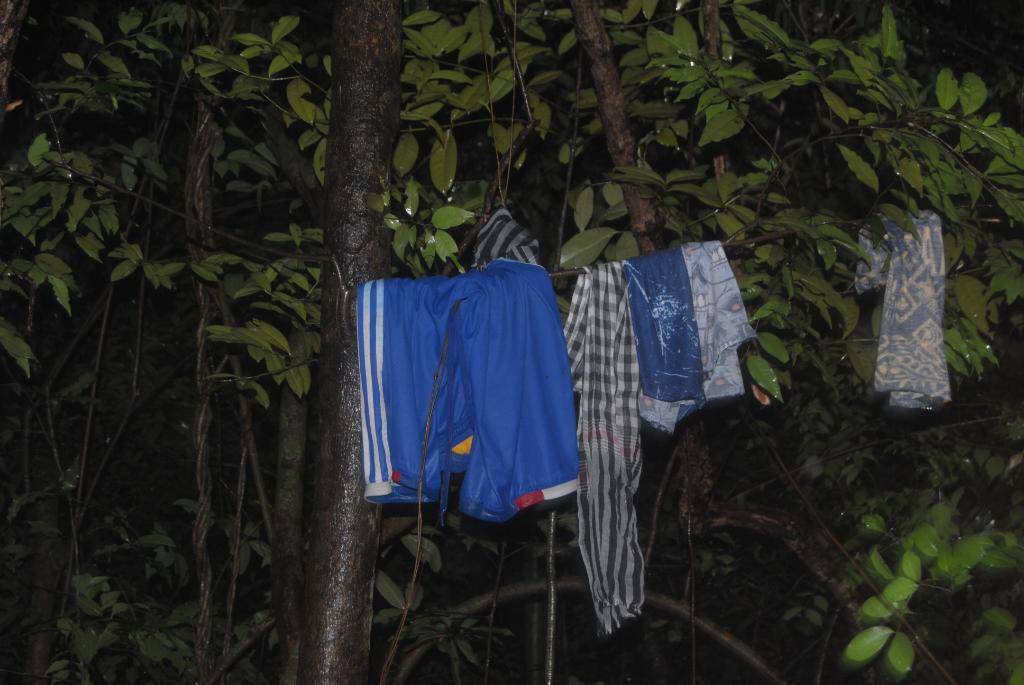 DSC_0290.jpg