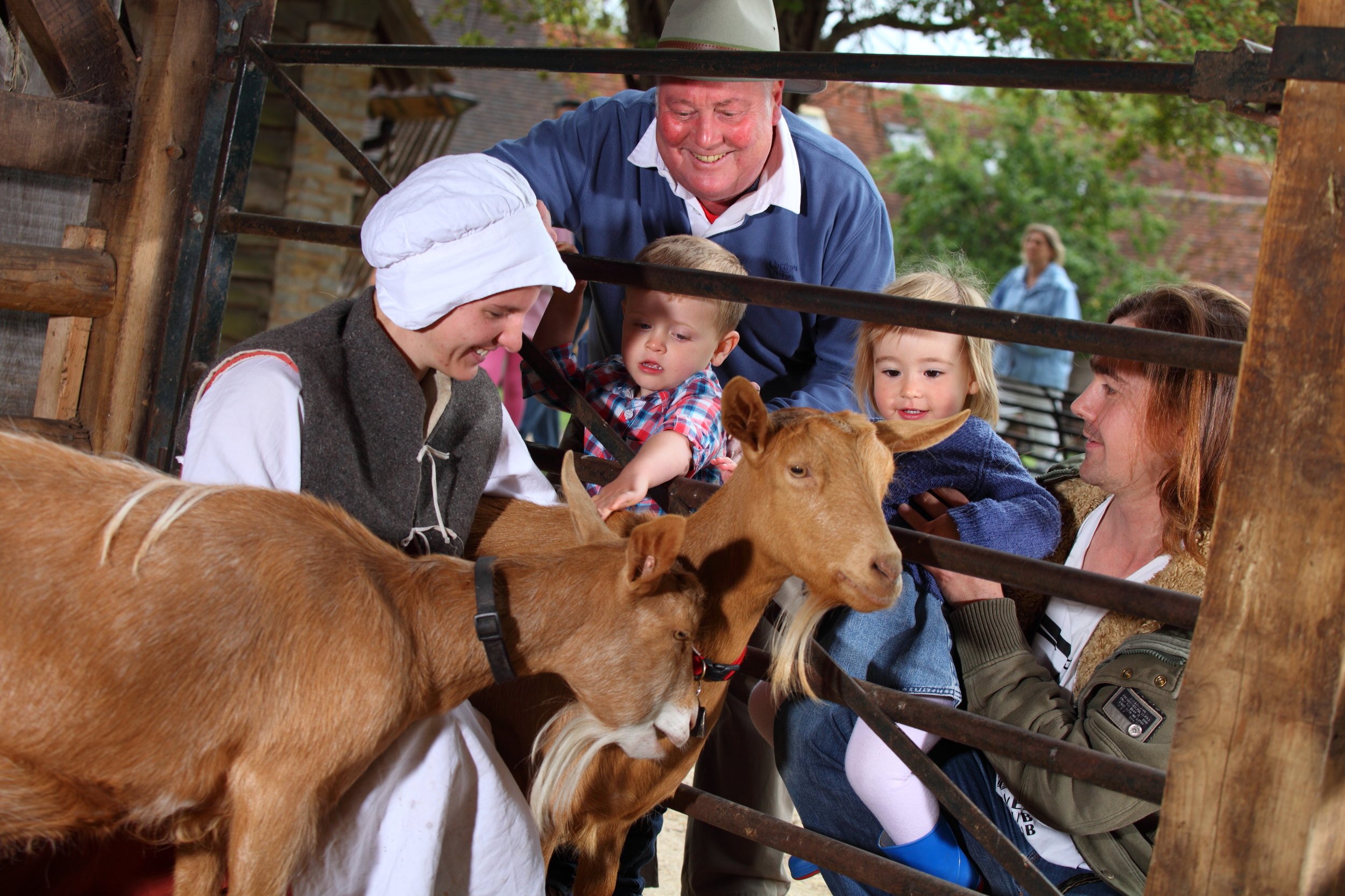 Meet_the_Farm_Animals_YCyh4Dm.original.jpg