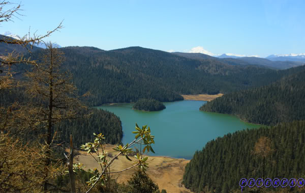shangri-la238.jpg